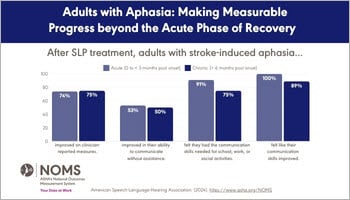 Aphasia Data Snapshot