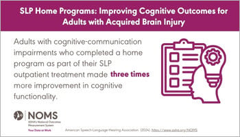 Cognitive Rehabilitation Home Programs Data Snapshot