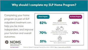 Home Programs Data Snapshot