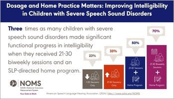 Speech Sound Disorders Data Snapshot