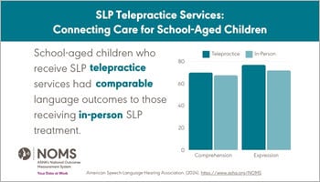 Telepractice Data Snapshot